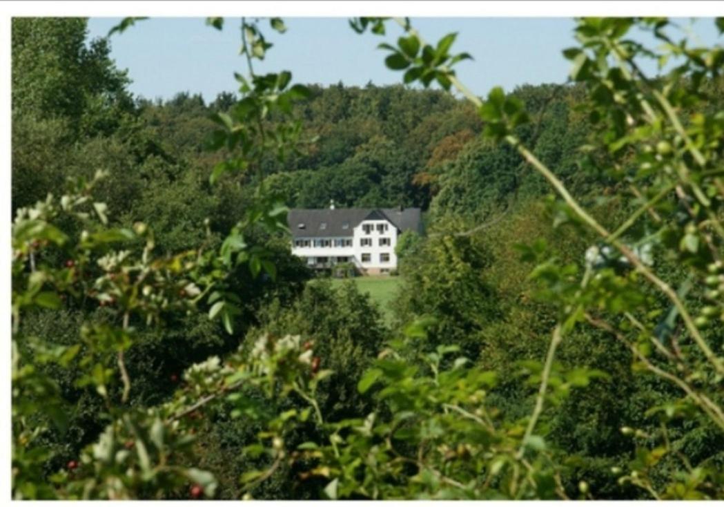 Aparthotel & Wohnungen Am Norderteich Horn-Bad Meinberg Exterior photo